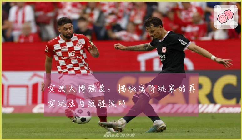 实测火博强度，揭秘高阶玩家的真实玩法与致胜技巧