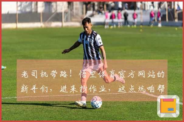 老司机带路！悟空体育官方网站的新手们，进来抄作业，这点坑咱帮你避开了！