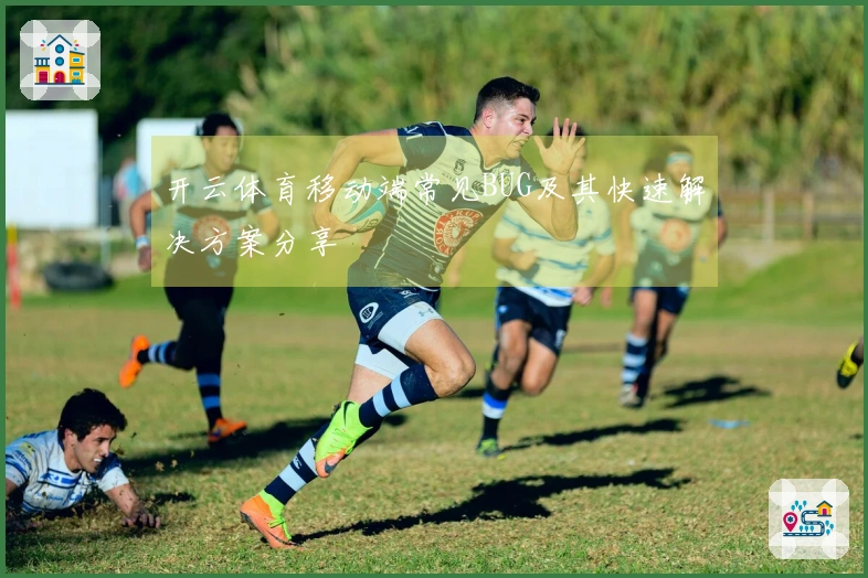 开云体育移动端常见BUG及其快速解决方案分享